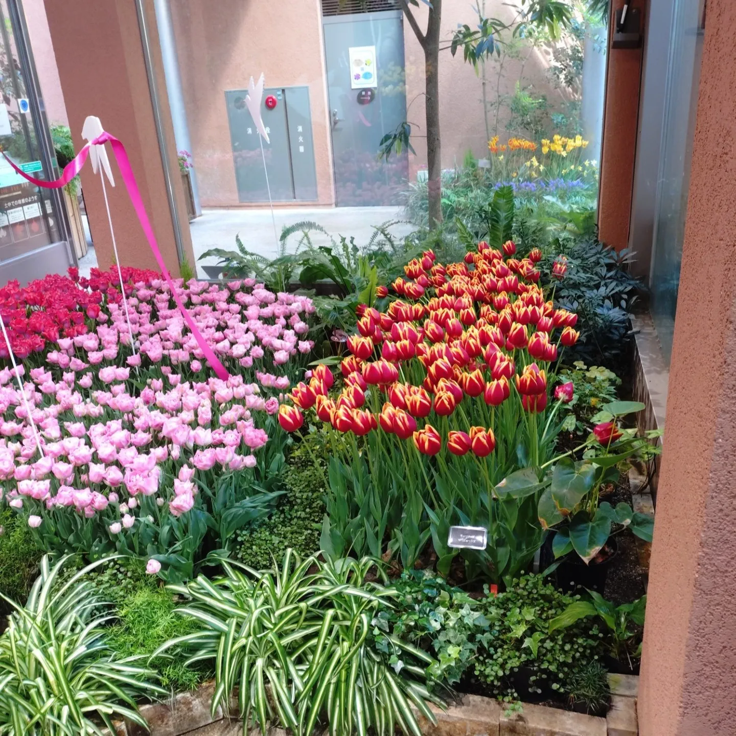 🌍 グローバル展開における知財戦略の重要性 🌍