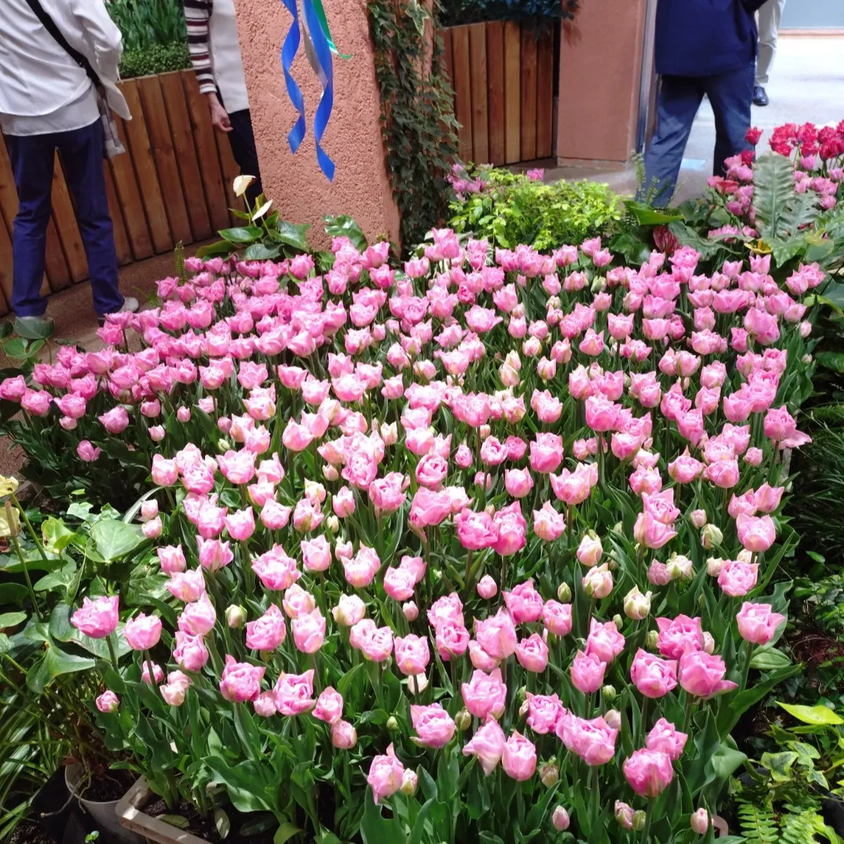 🌐 グローバル展開における知財の落とし穴と解決策 ⚠️