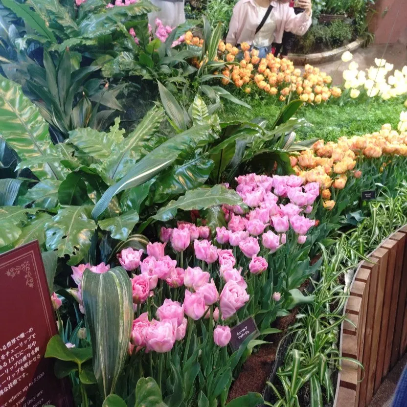 💼 知財戦略が生み出す「見えない価値」とは？