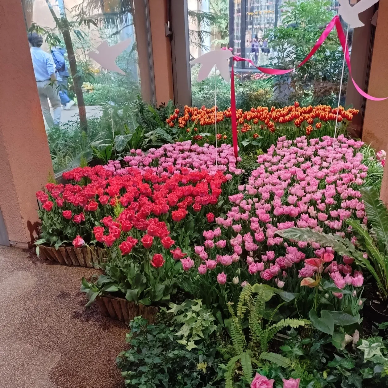 ✨ グローバル展開を成功させる鍵は「知財戦略」にあり！ 🌏