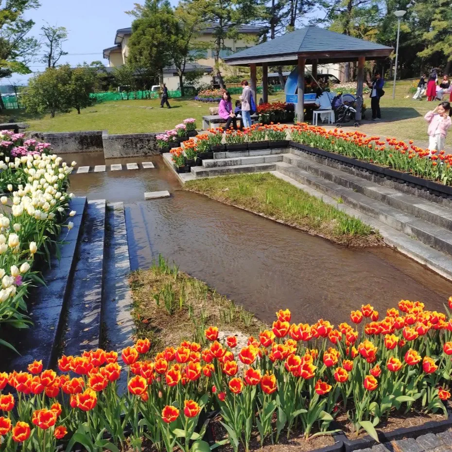 🌈 中小企業が知財で大企業に勝つ秘訣 💪