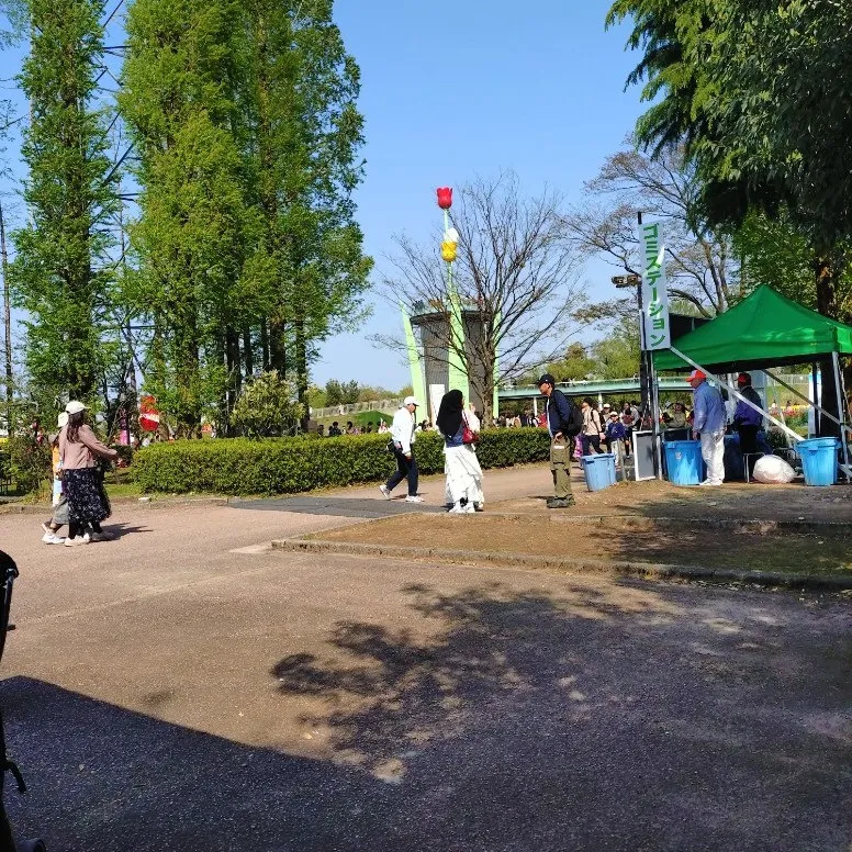 🚀 【未来を創る知財投資と戦略】💡