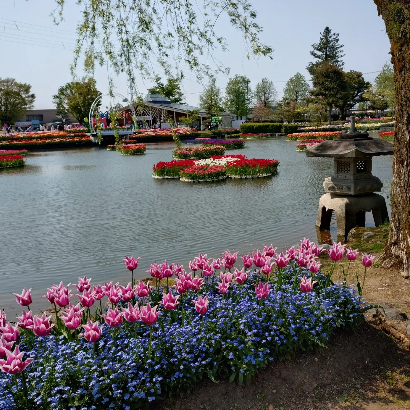 成功企業に学ぶ知財活用術 🏆