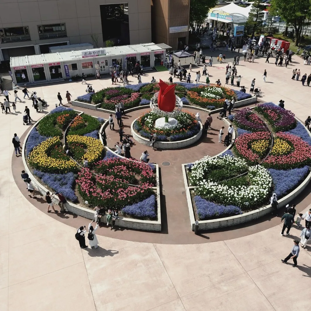 📊 【クロスボーダー取引の知財リスク対策】