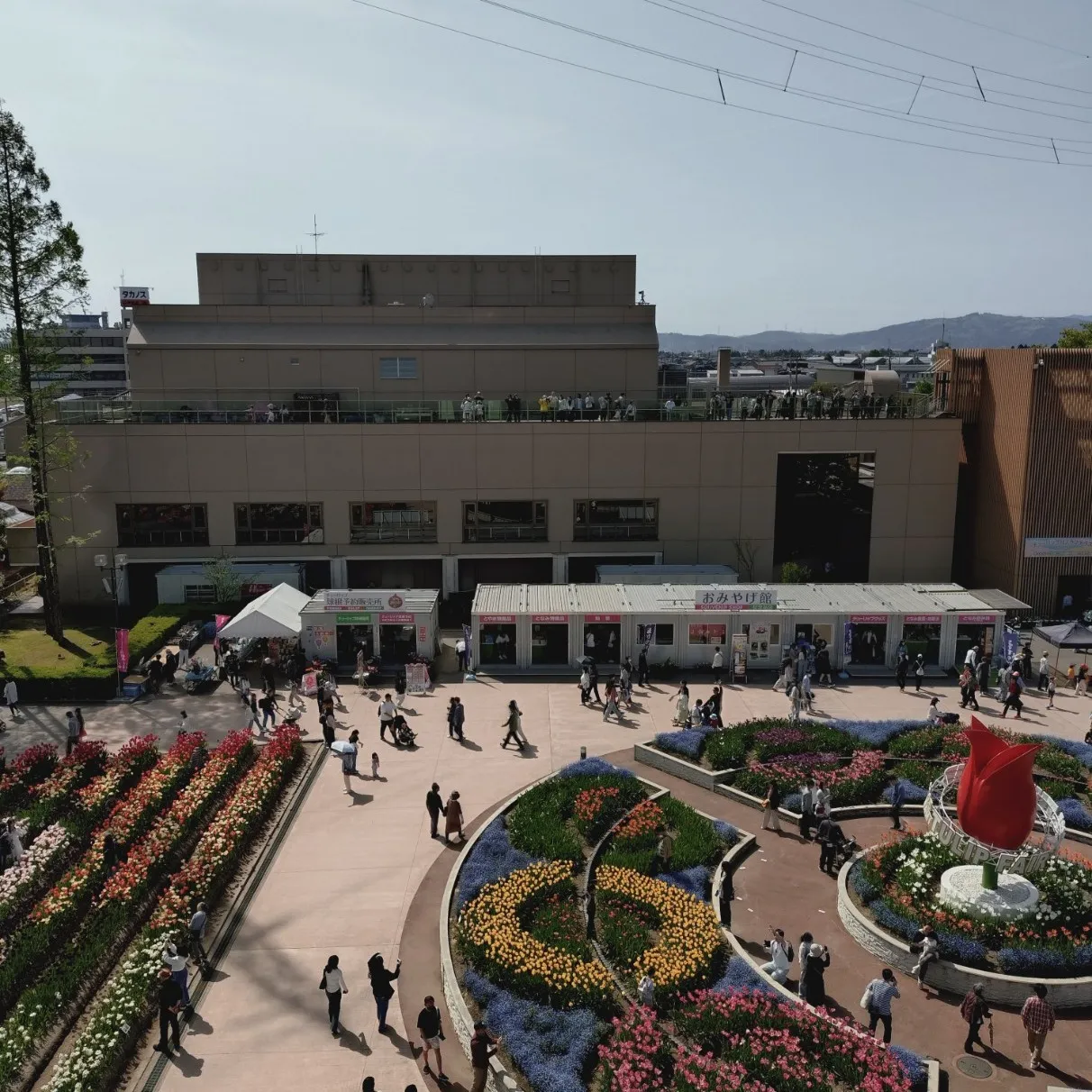 🚀 グローバルビジネスの知財戦略、万全ですか？