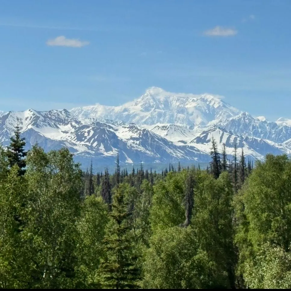 ⚠️ 【海外ビジネスの知財トラブル、備えは万全ですか？】 🛡...