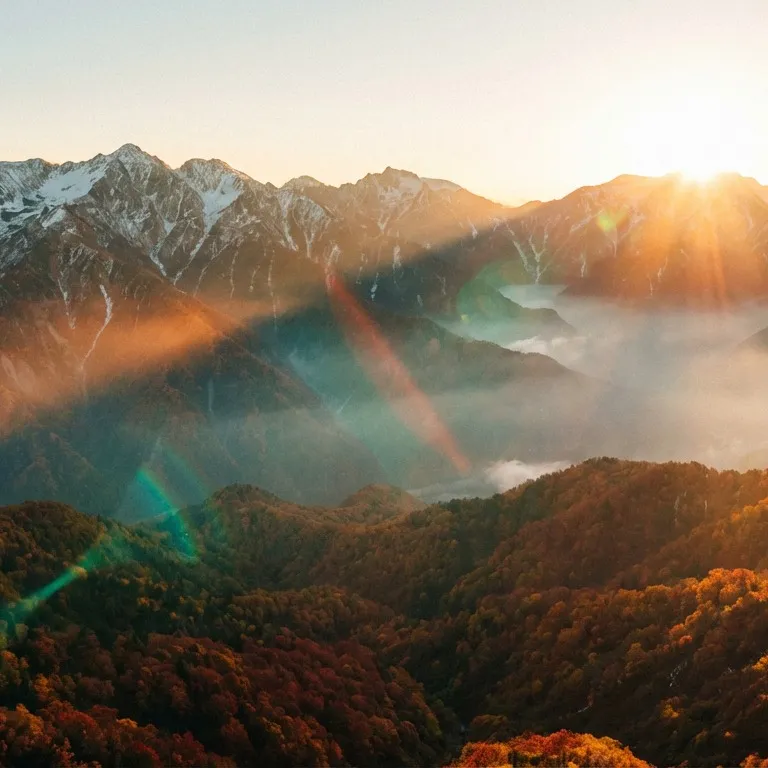 📝 発明届出書の書き方のコツ公開！